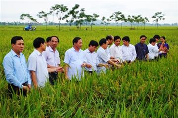 Nông nghiệp là mũi nhọn.